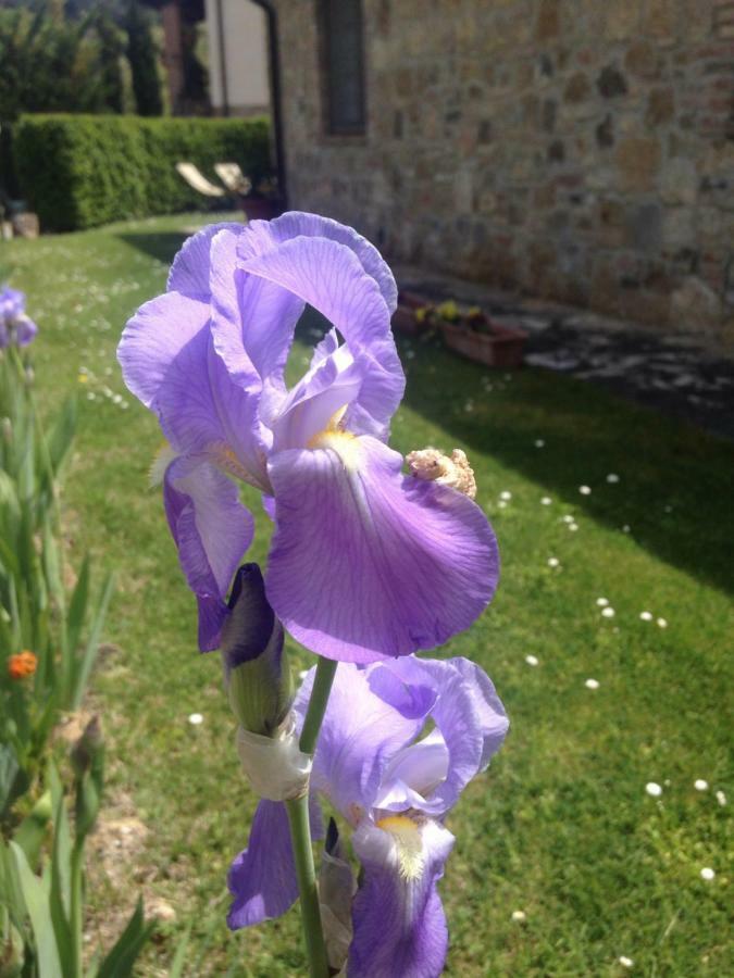 Borgo Del Molinello Villa Sant'Albino Bagian luar foto